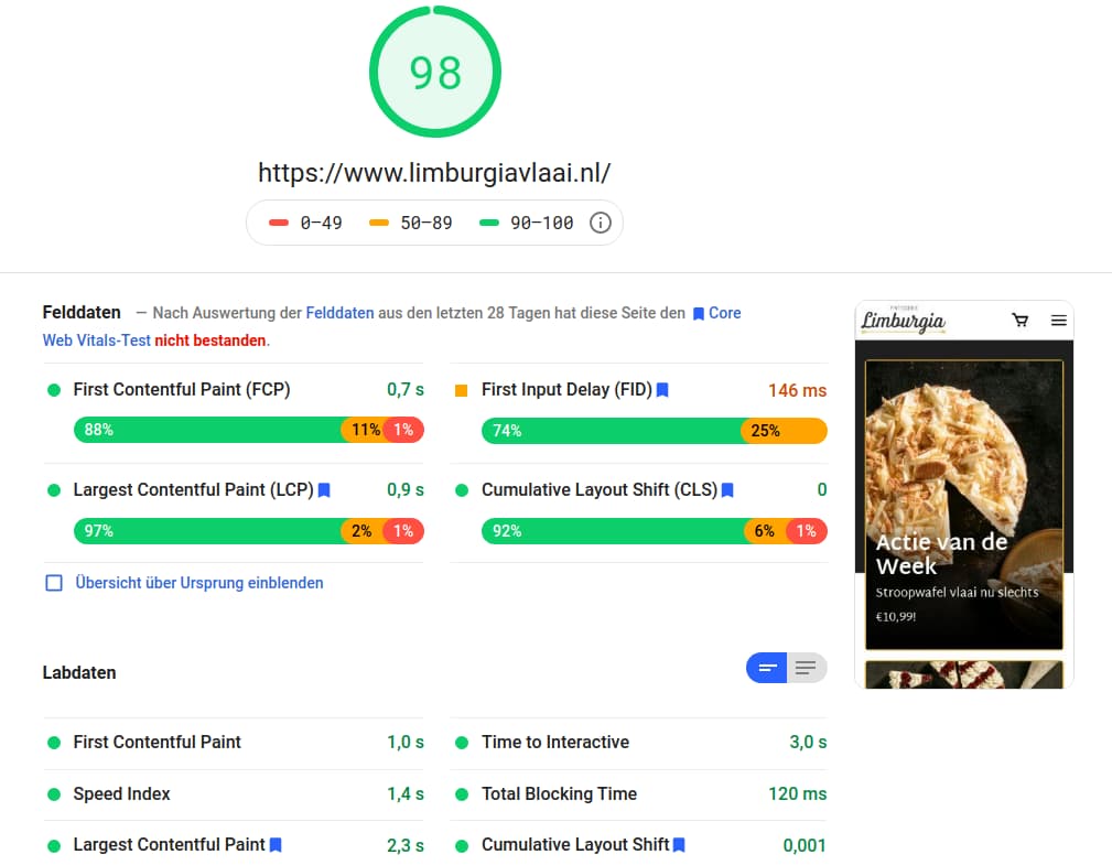 Hervorragende PageSpeed Insights Messdaten mit Hyvä Themes