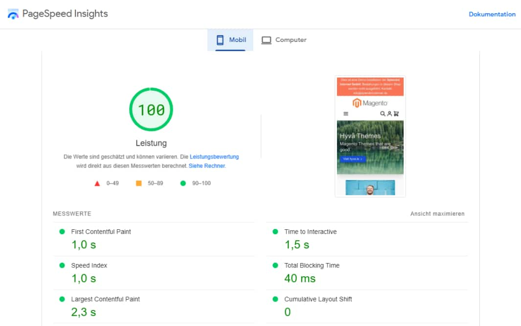 Pagespeed Magento Hyva